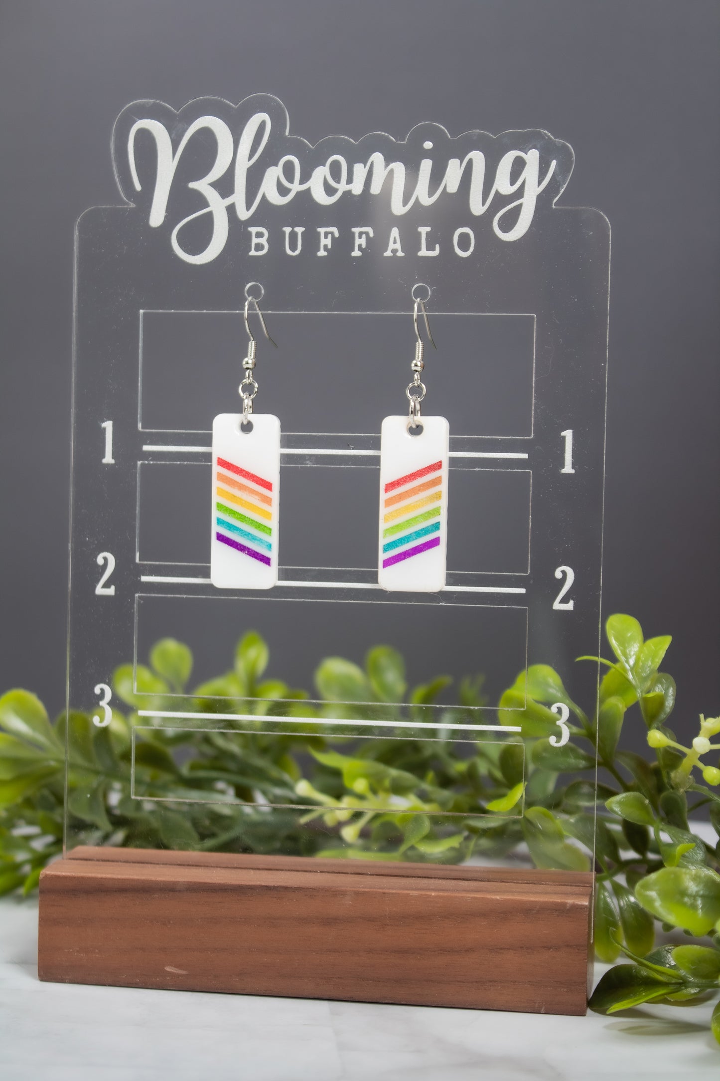white rectangle dangle earrings with rainbow stripes on Blooming Buffalo branded earring stand